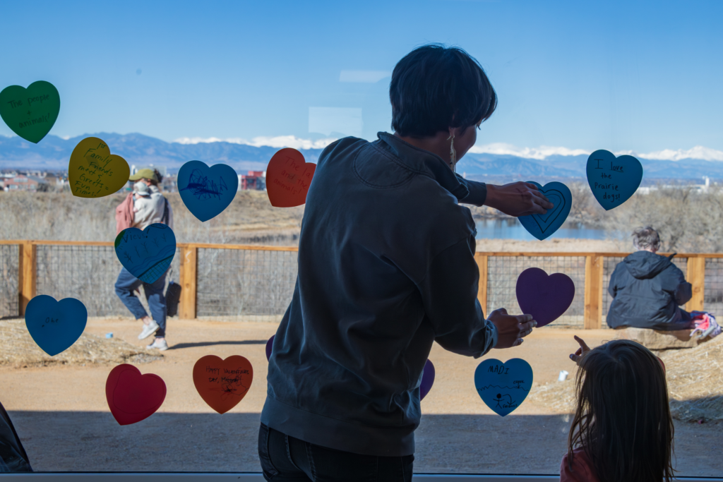 A Bluff Lake Nature Center staff member and a child place colorful paper heart notes on a large window overlooking Bluff Lake, with handwritten messages expressing appreciation for the prairie, wildlife and community during the Valentine’s Day grand opening event.